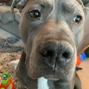 Meet your Posher, Kerry